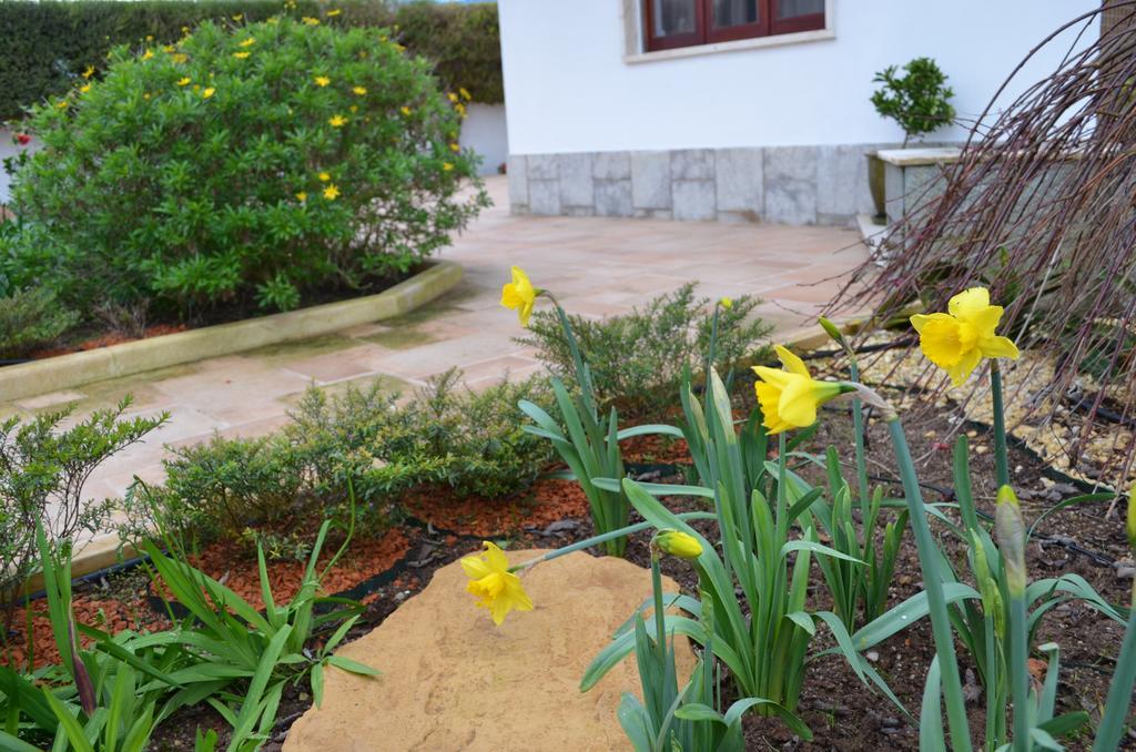 Beija-Flor House Villa Ribamar  Exteriör bild