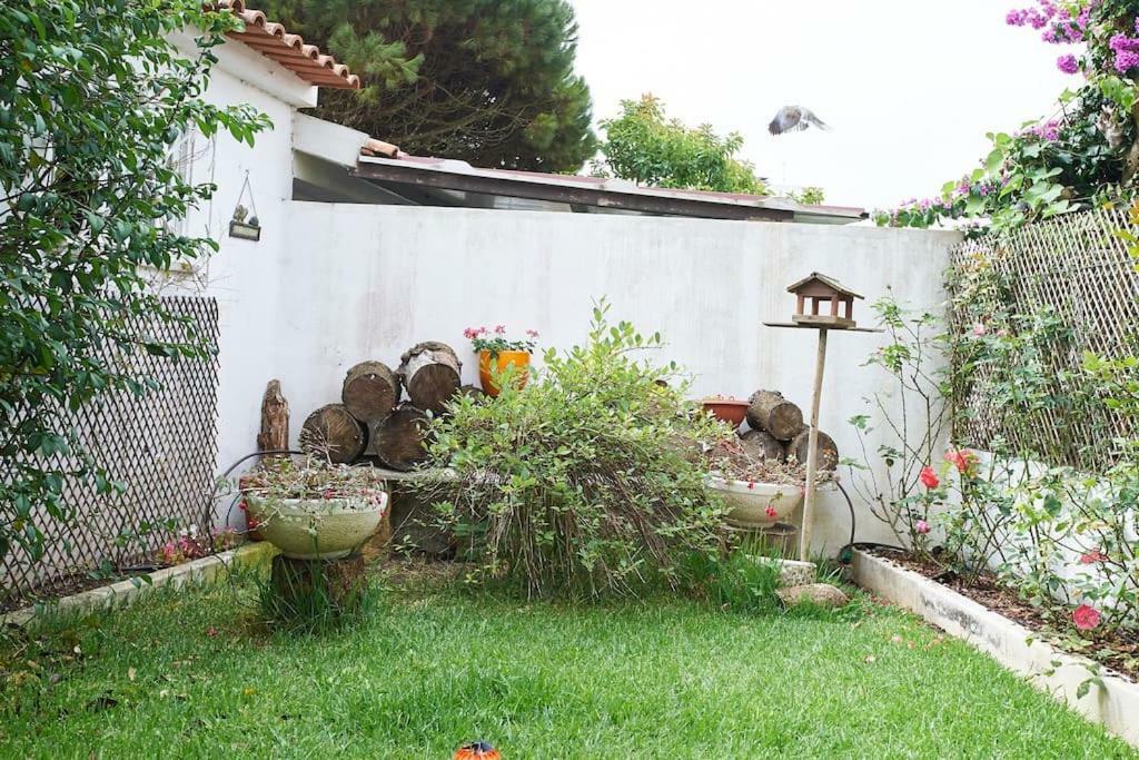 Beija-Flor House Villa Ribamar  Exteriör bild